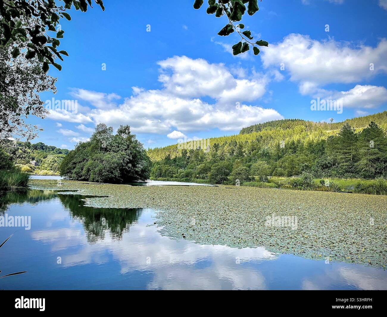 Lakeside - Immagine stock catturata con smartphone