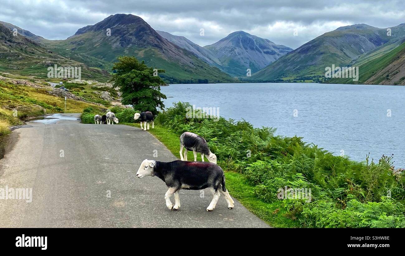 Wasdale. Lake District Foto Stock