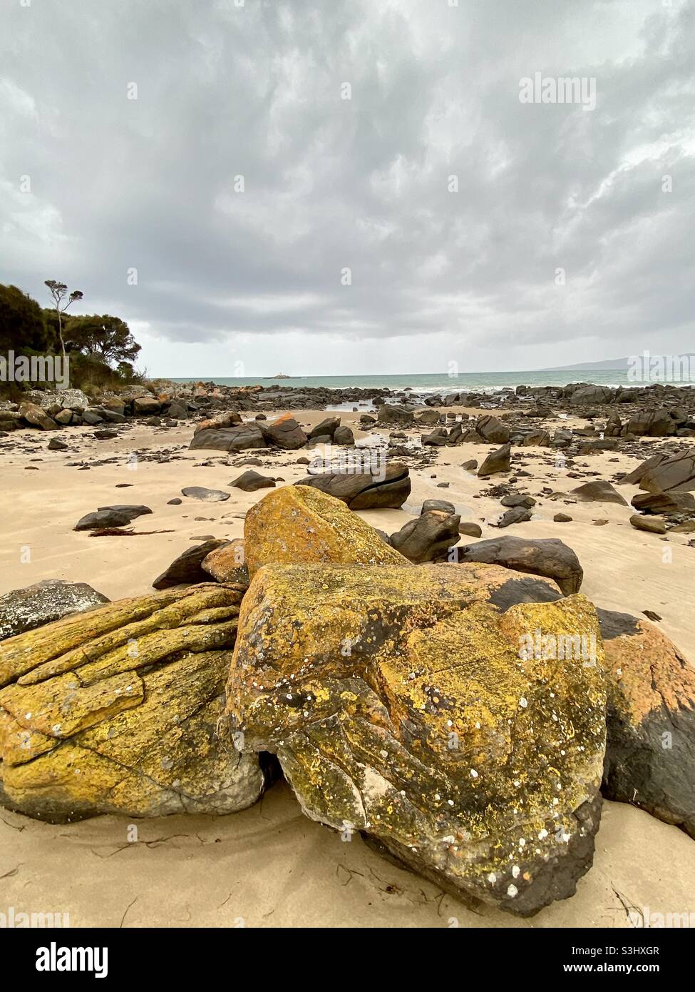 Le rocce ricoperte di lichen giallo su una spiaggia con cielo nuvoloso grigio a Hawley Beach, Tasmania Foto Stock