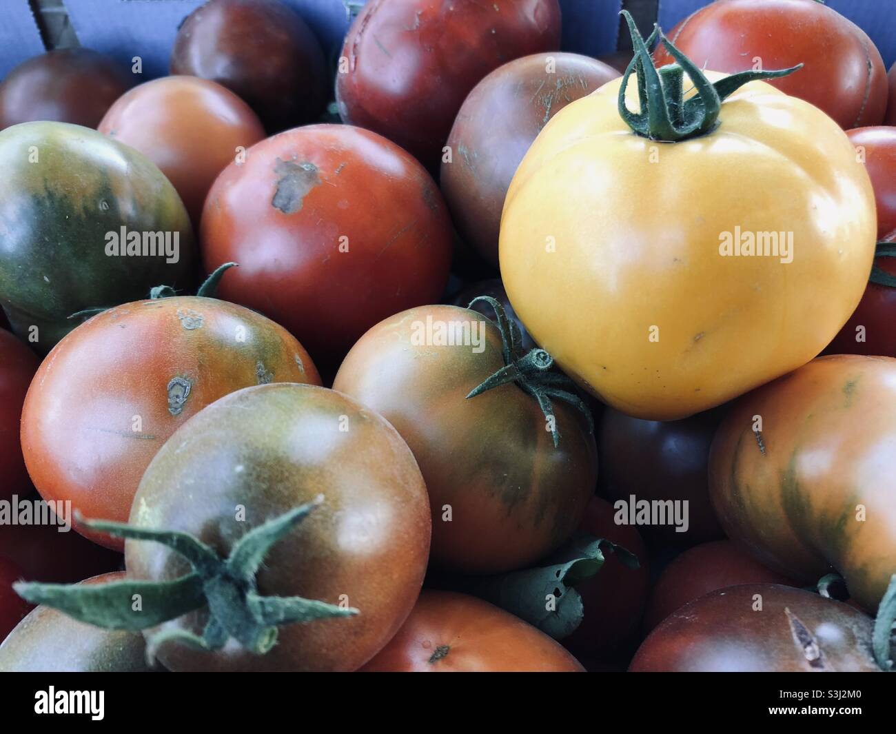 Pomodori appena sfornati pronti da mangiare. Foto Stock