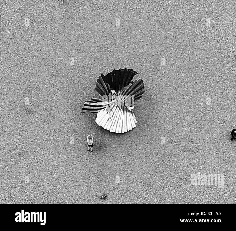 Immagine di drone di una famiglia che gode la scultura Shell sulla spiaggia a Aldeburgh, Suffolk. - Immagine stock catturata con smartphone