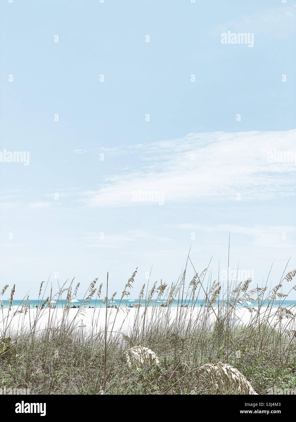 Florida Beach dietro le erbe - Immagine stock catturata con smartphone