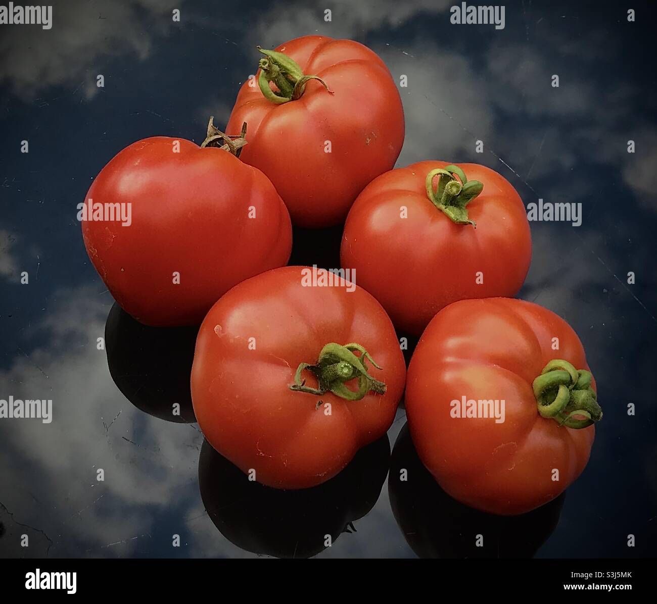 Così fiero dei miei pomodori fatti in casa. Settembre 2021. - Immagine stock catturata con smartphone