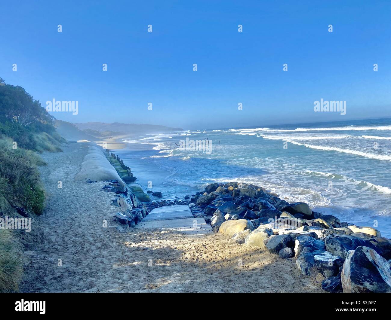 Affacciato sull'Oceano Pacifico a Dunedin, Nuova Zelanda Foto Stock