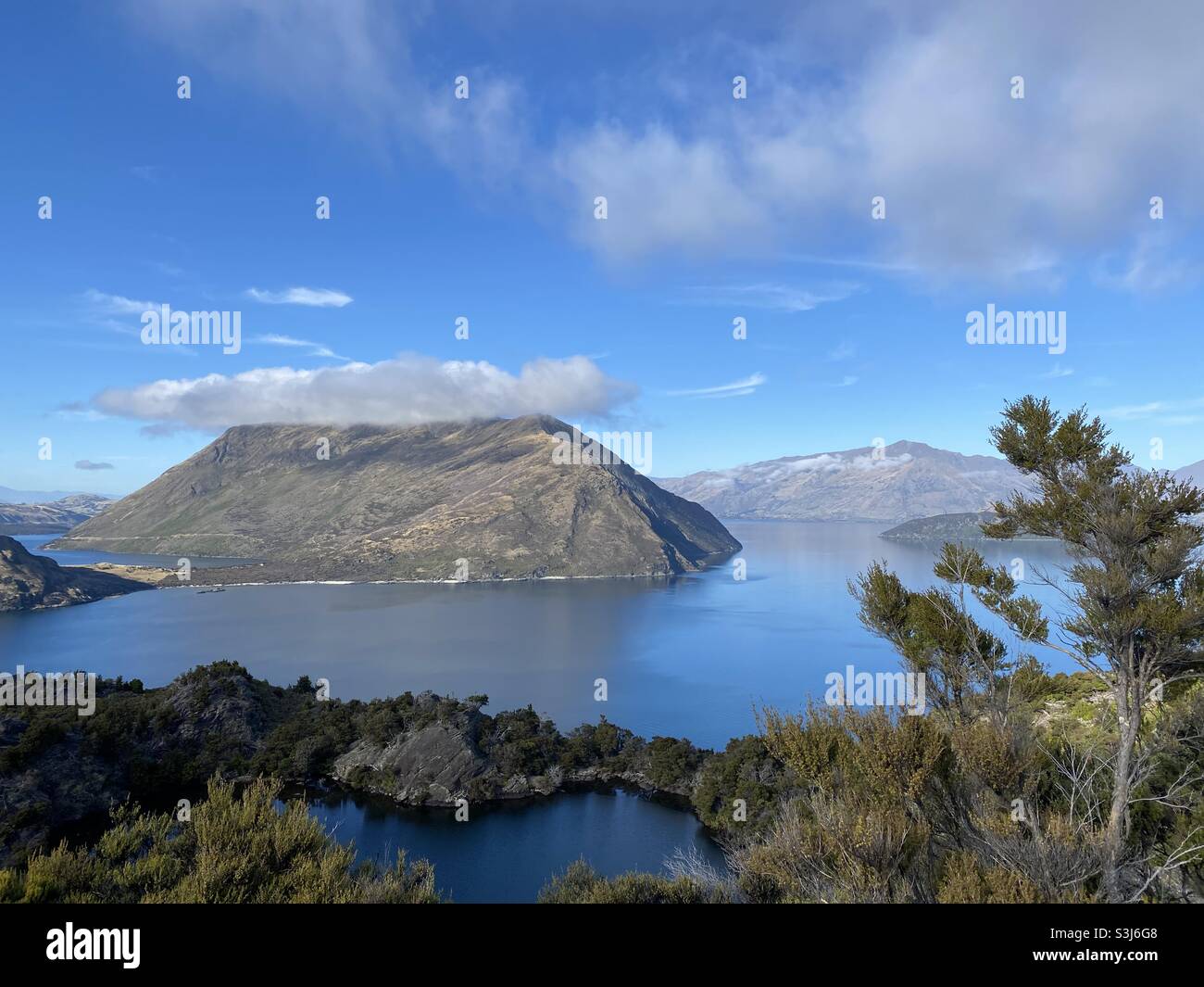 Isola di MOU Waho , Lago Wanaka, Nuova Zelanda Foto Stock