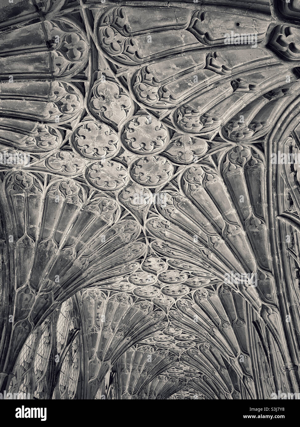 Un'immagine monocromatica in tonalità degli spettacolari soffitti a volta a ventaglio nei chiostri della Cattedrale di Gloucester in Inghilterra, Regno Unito. Quest'area è stata utilizzata per le pellicole di Harry Potter. Foto ©️ COLIN HOSKINS. Foto Stock
