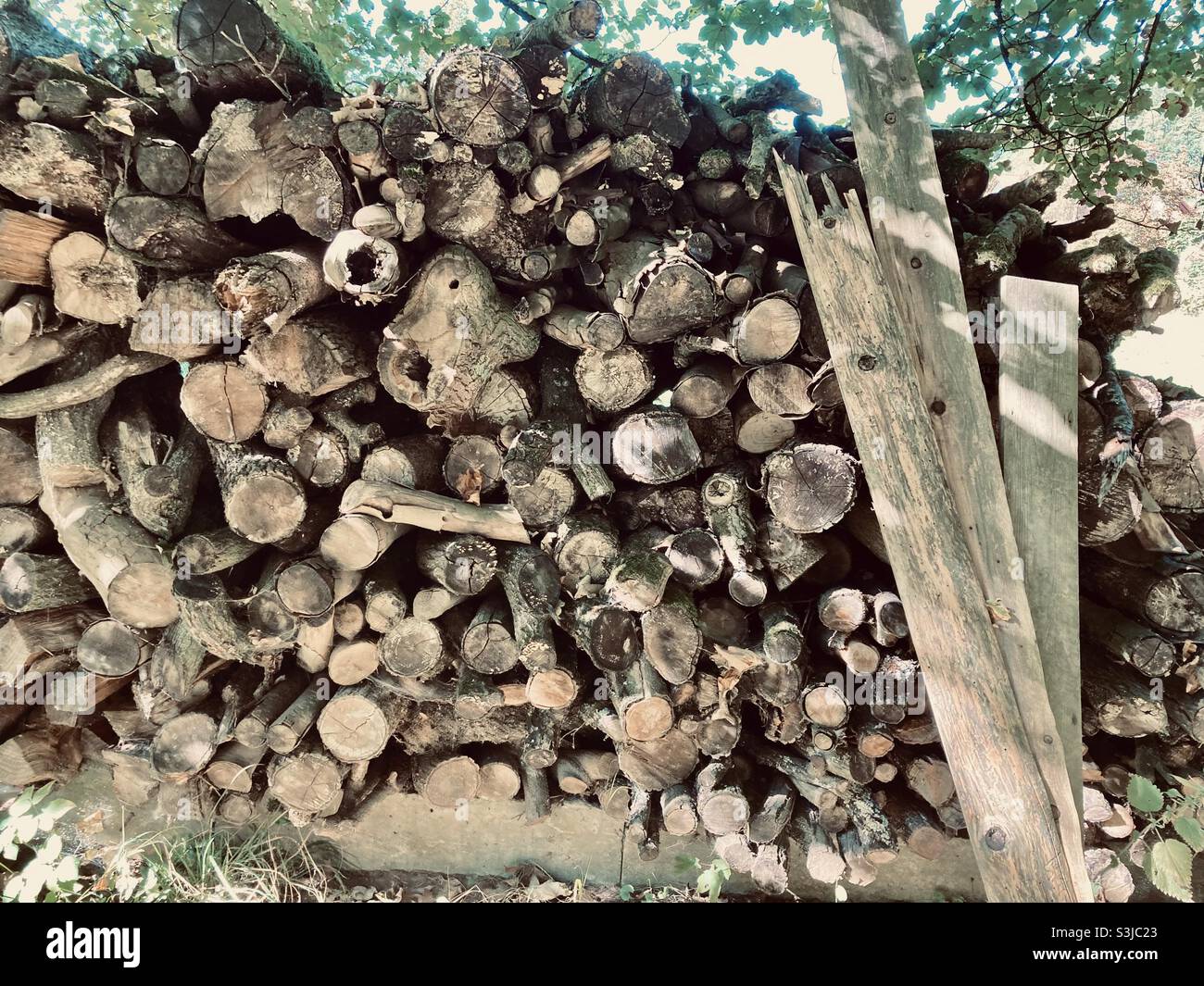 Un mucchio di legna da ardere accatastato su contro un muro Foto Stock