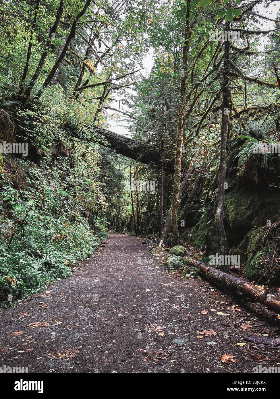 Sentiero della Valle di Hope-Nicola Foto Stock