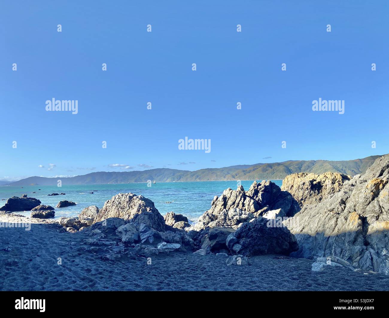 The Rugged Wellington Coastline , Nuova Zelanda Foto Stock