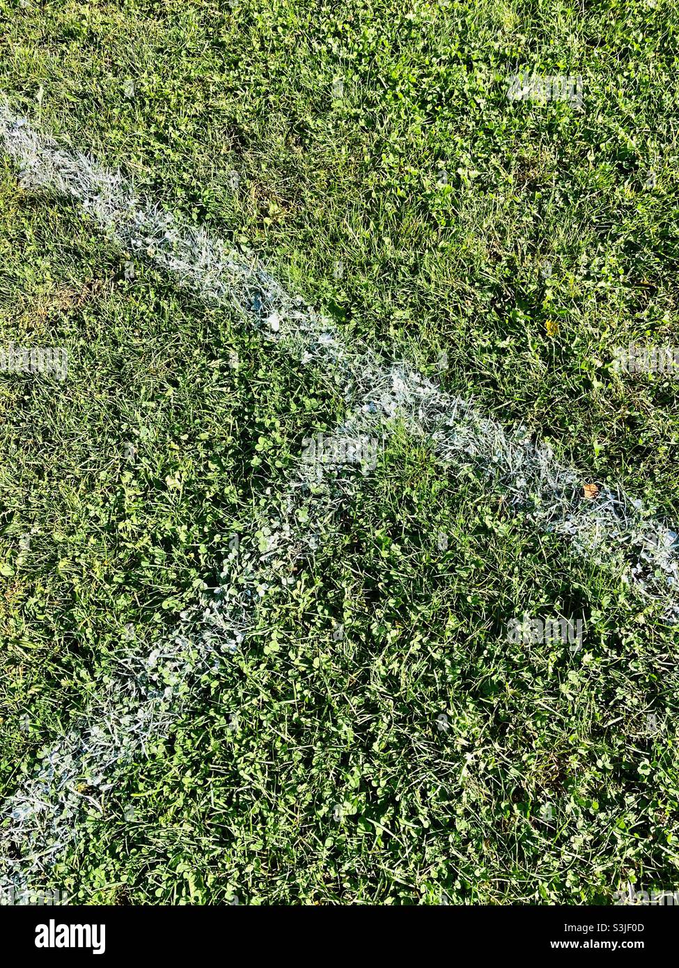 Le linee bianche del gesso sul tappeto erboso di un campo di calcio si incrociano Foto Stock