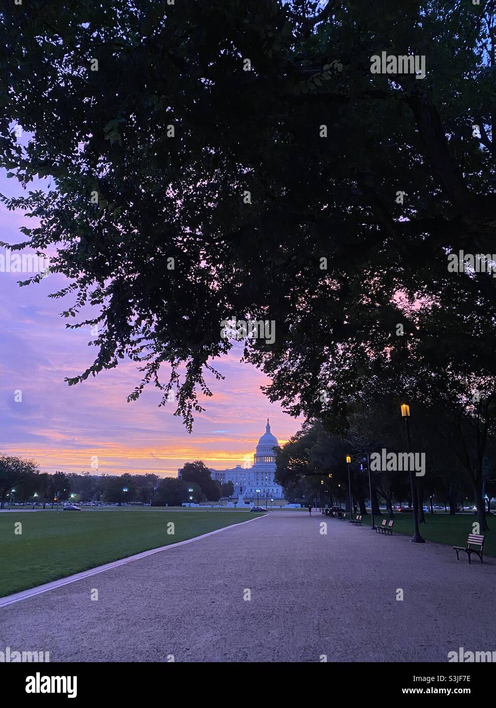 Il cielo si illumina di rosa poco prima che il sole sorge dietro l'edificio del Campidoglio degli Stati Uniti a Washington, D.C. - Immagine stock catturata con smartphone