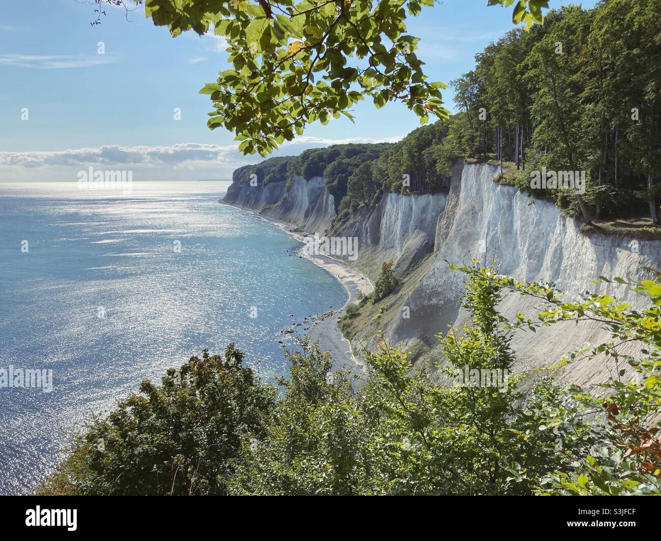 Scogliera e costa nel Parco Nazionale di Jasmund Foto Stock