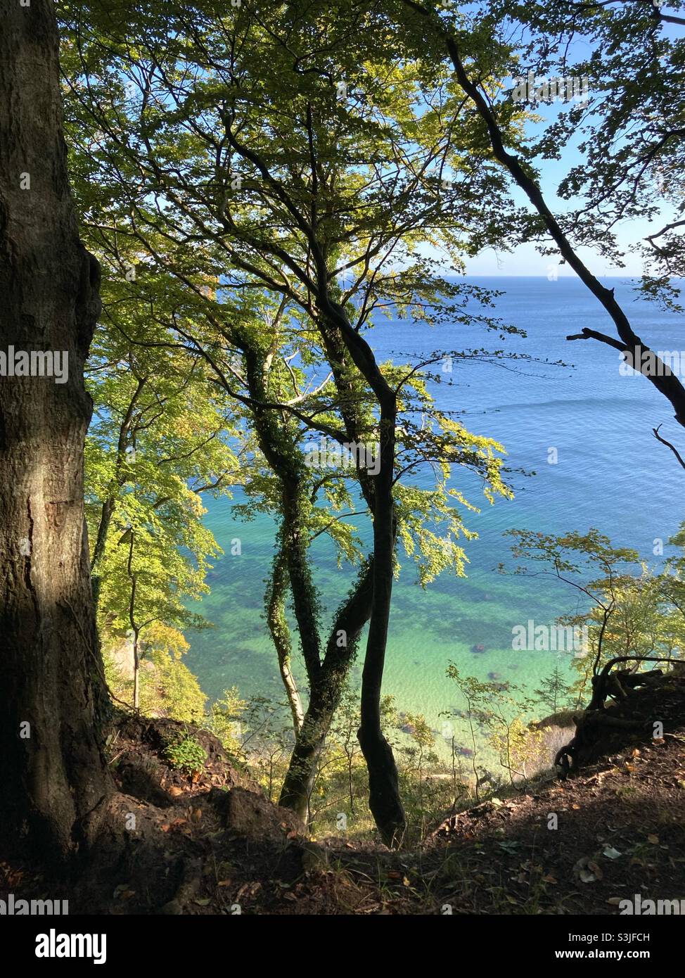 Vista sul mar baltico nel Parco Nazionale di Jasmund sull'isola di Rügen Foto Stock