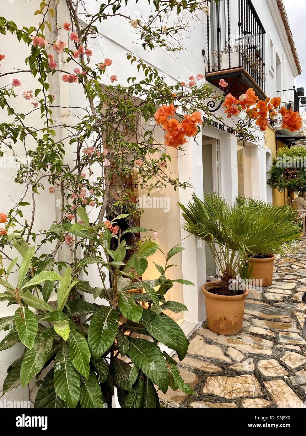 Un cortile a Estepona nel sud della Spagna con fiori e piante Foto Stock