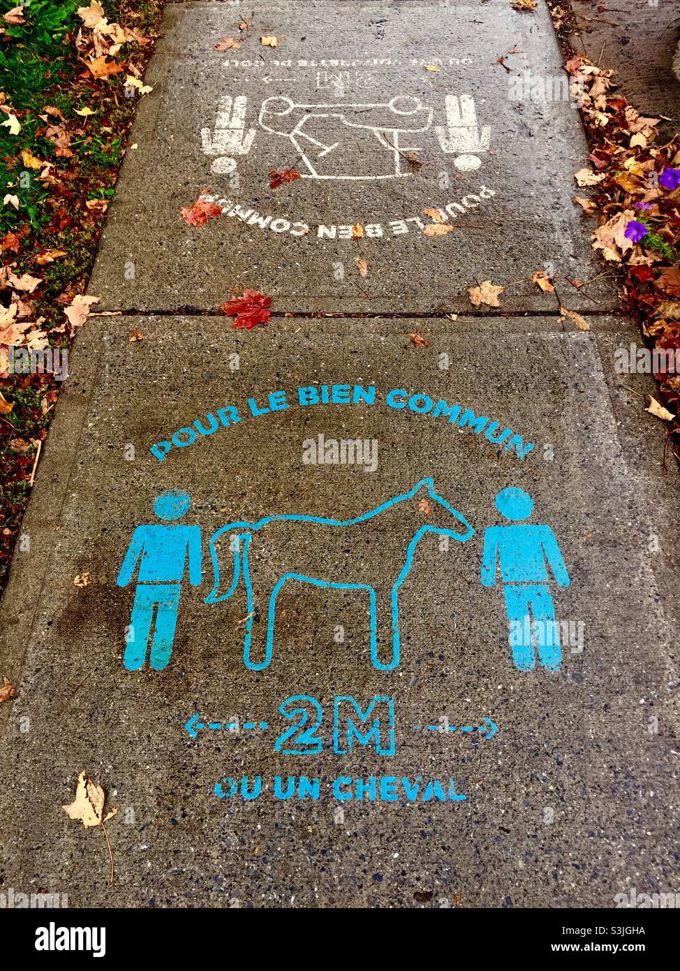 Due metri di distanza, la lunghezza di un cavallo o un golf cart, simboli insoliti dipinti sul marciapiede per ricordare alle persone di sicuro sociale distanziamento, per una buona comunità, Québec, Canada - Immagine stock catturata con smartphone