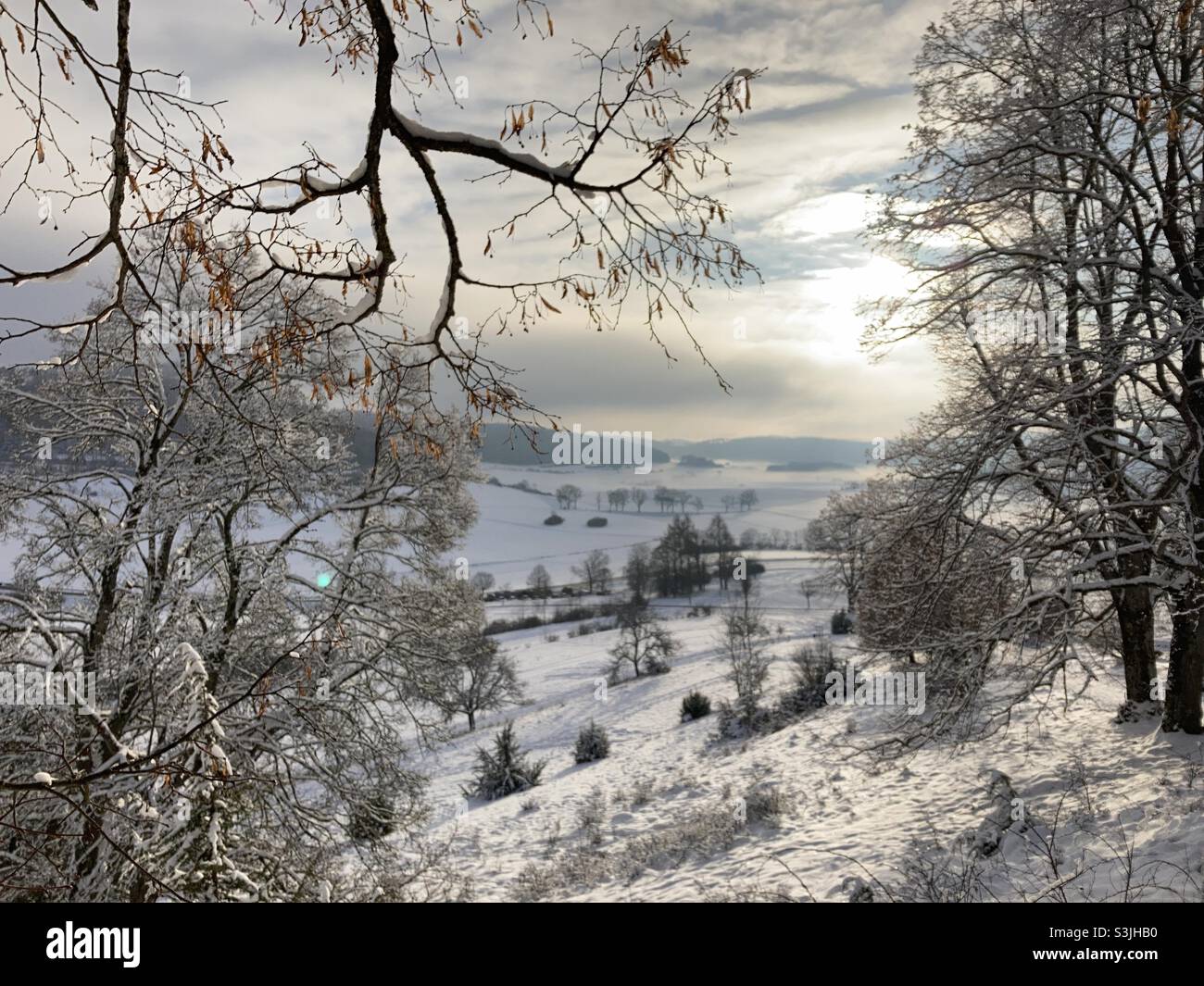 Idilliaco paesaggio invernale con molta neve nel Giura svevo nella Germania meridionale Foto Stock