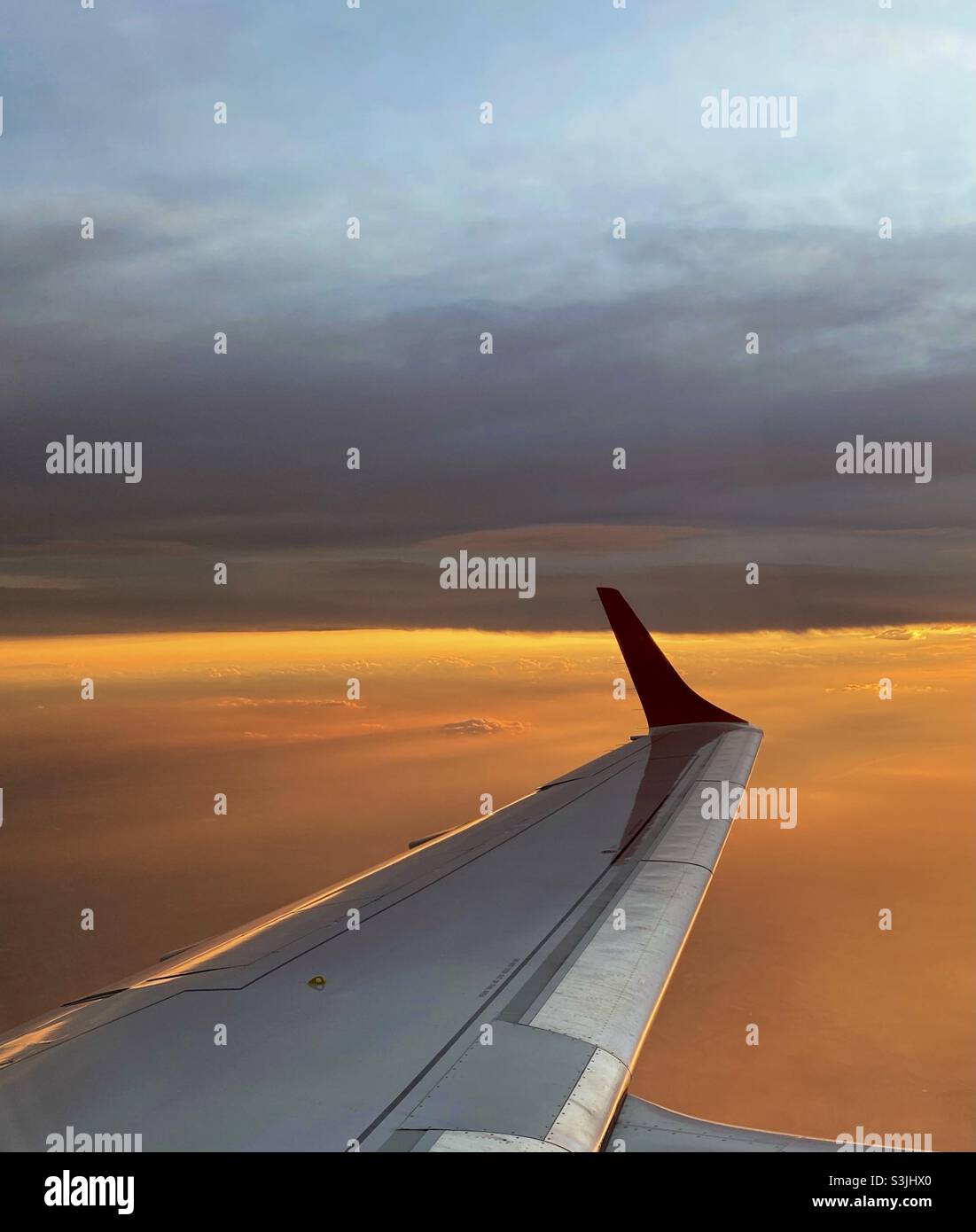 Ala dell'aeroplano e volo dell'aereo durante il tramonto Foto Stock