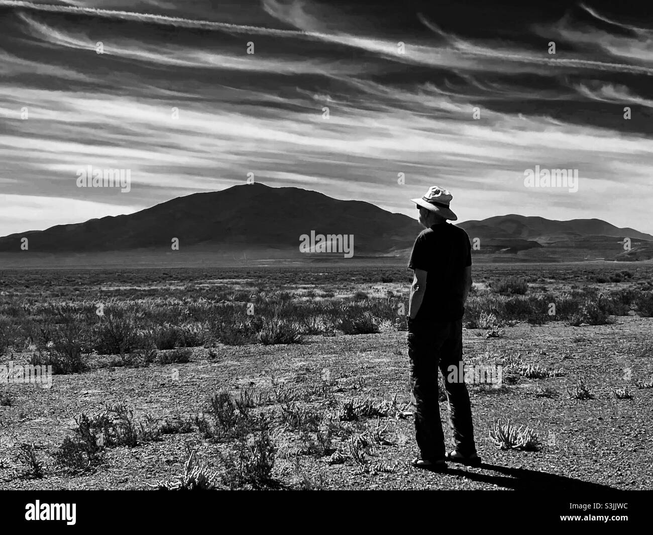 Uomo con cappello che guarda il paesaggio del Nevada Foto Stock