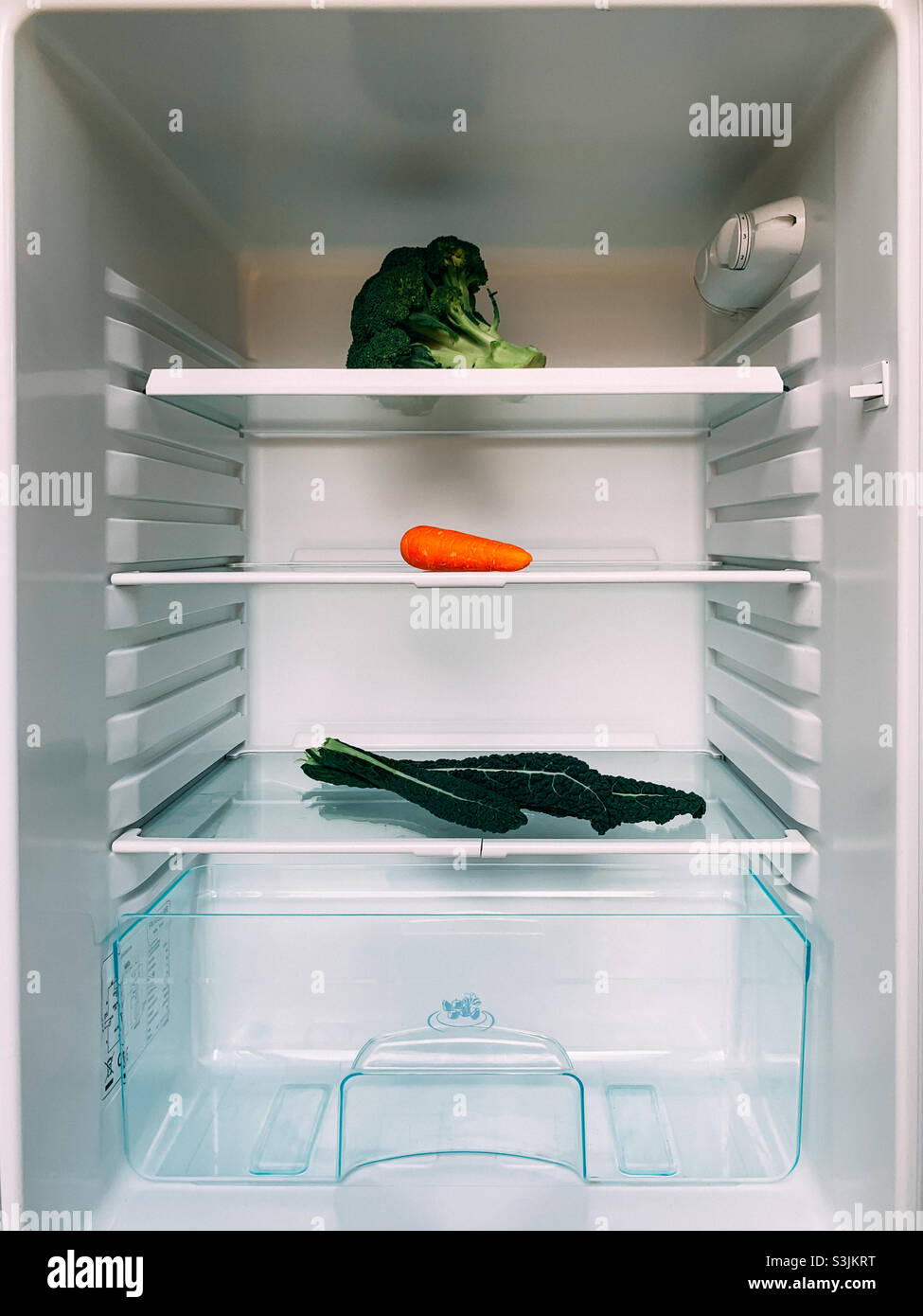 Pezzi singoli di verdure in un frigorifero - Immagine stock catturata con smartphone