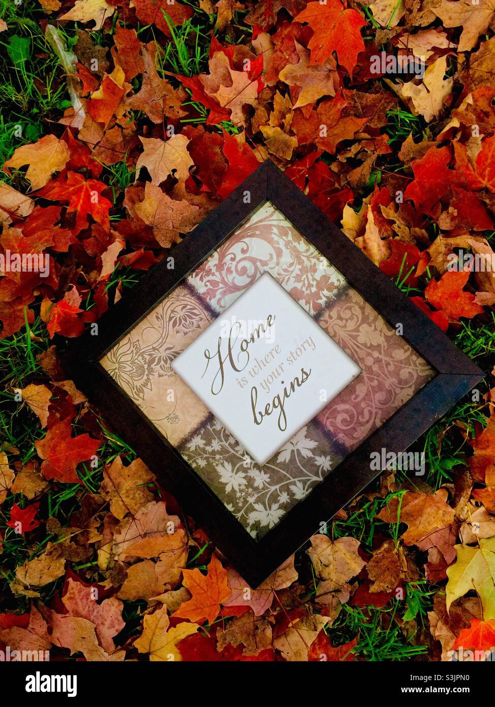Inizio autunno. Una piastrella incorniciata, casa è dove la vostra storia comincia, su un letto di foglie cadute in colori autunnali, Ontario, Canada. Foto Stock