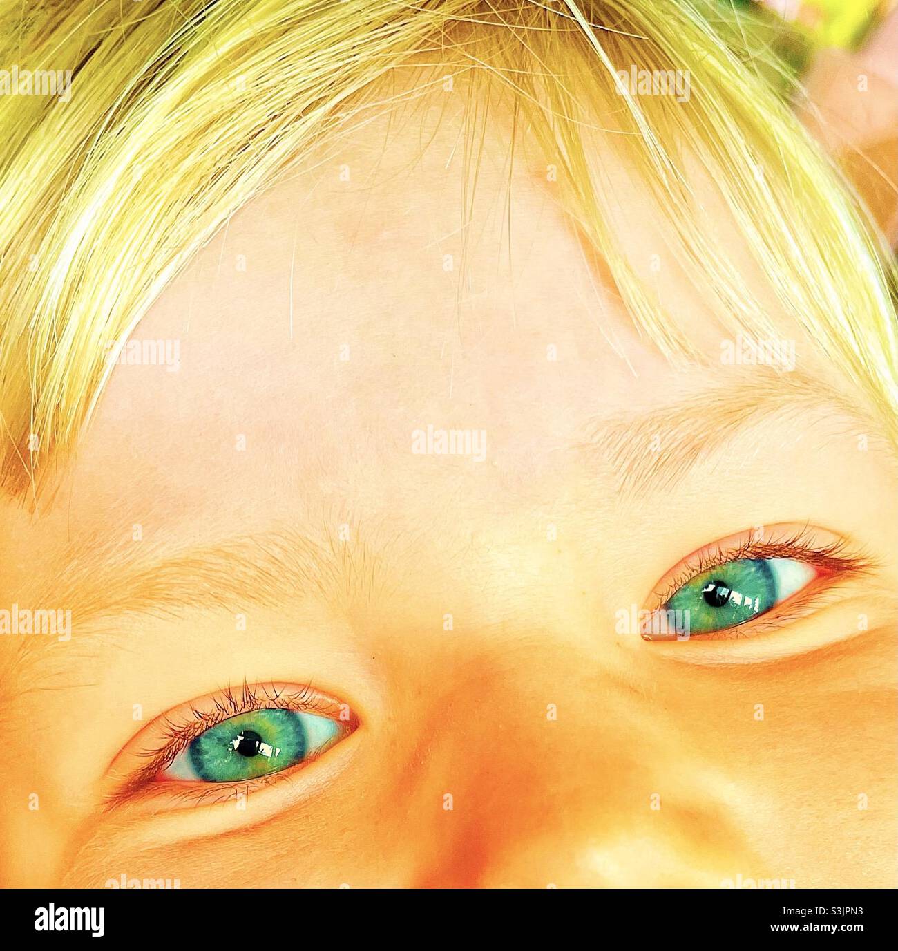 Occhi azzurri e bambino biondo Foto Stock