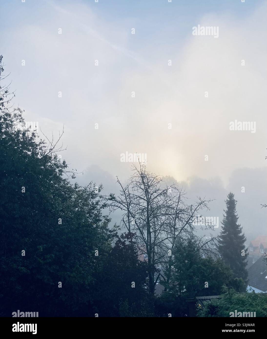La nebbia mattutina in autunno sul paesaggio con alberi - Immagine stock catturata con smartphone