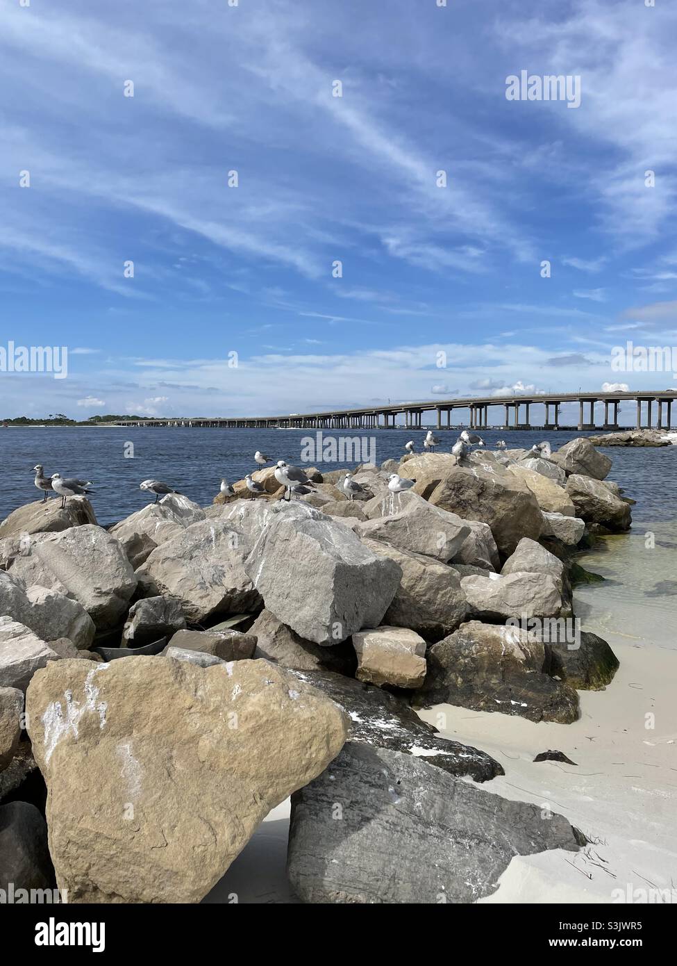 Gregge di gabbiani in piedi sui moli rocciosi a Norriego Point Destin Florida Foto Stock