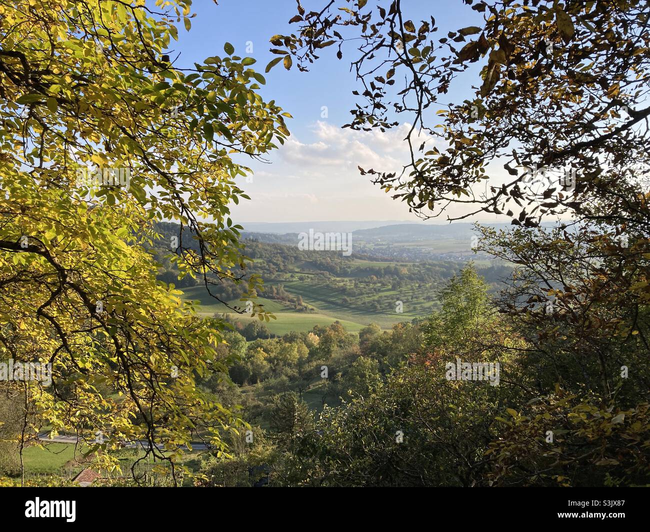 Paesaggio rurale panoramico nella Germania meridionale visto attraverso il fogliame di alberi in autunno Foto Stock