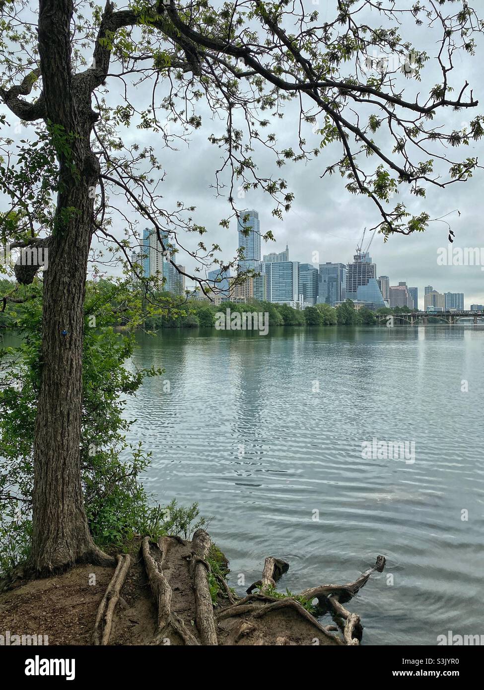 Vista del centro di Austin dal Zilker Park attraverso il fiume in primavera in una giornata nuvolosa - Immagine stock catturata con smartphone