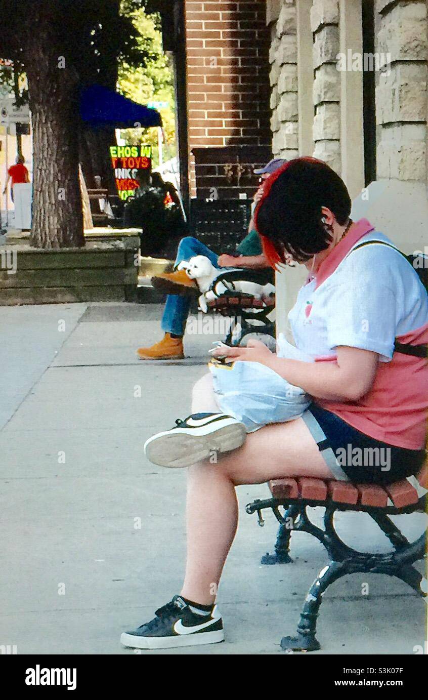 Donna e il suo telefono cellulare, un uomo e il suo cane - Immagine stock catturata con smartphone