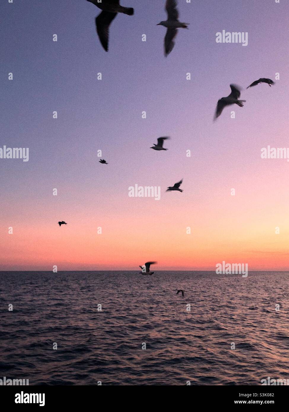 Tramonto rosa sul mare Foto Stock