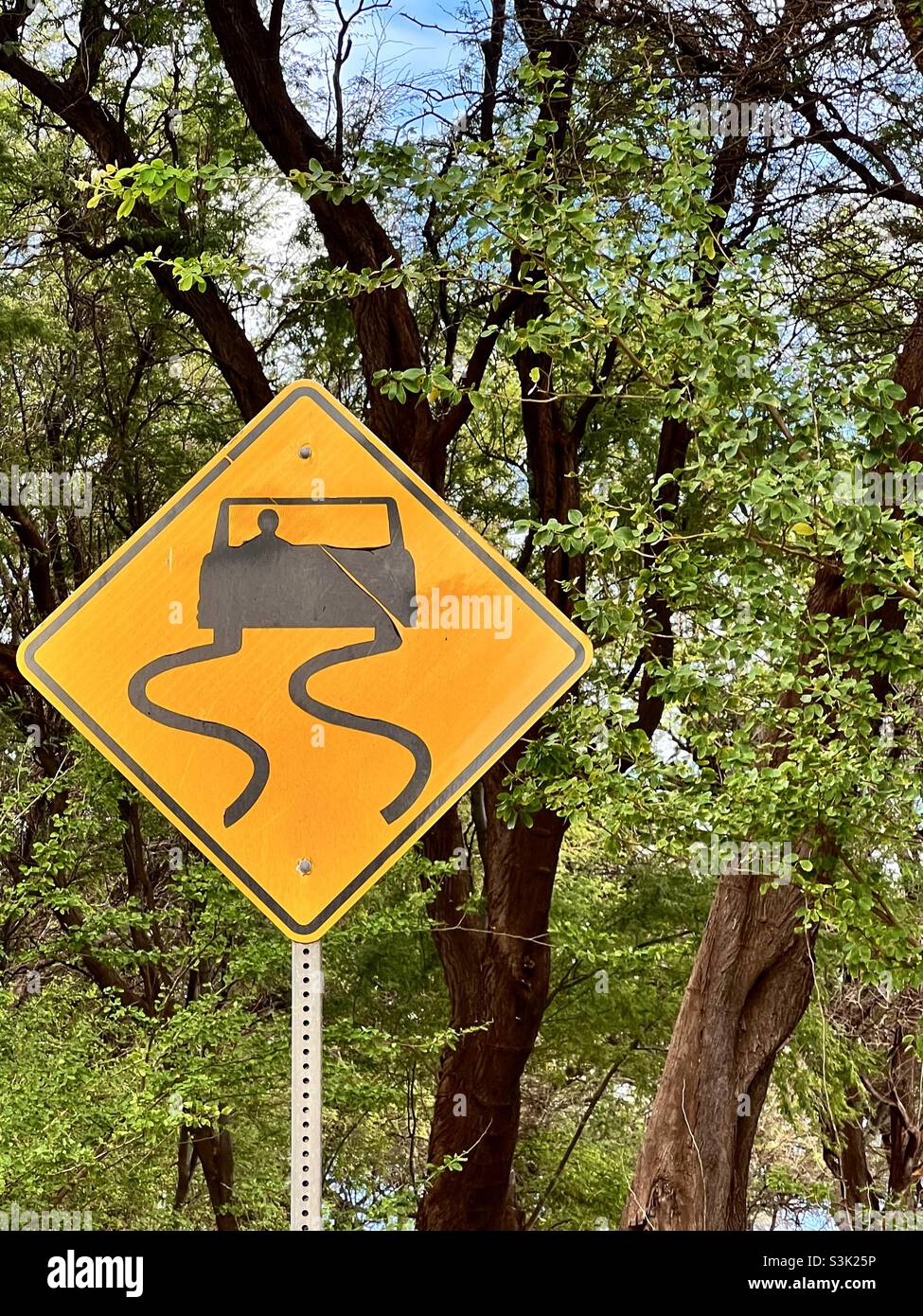 Segnale stradale di avvertimento per curve pericolose che precedono su una strada di campagna remota. Foto Stock
