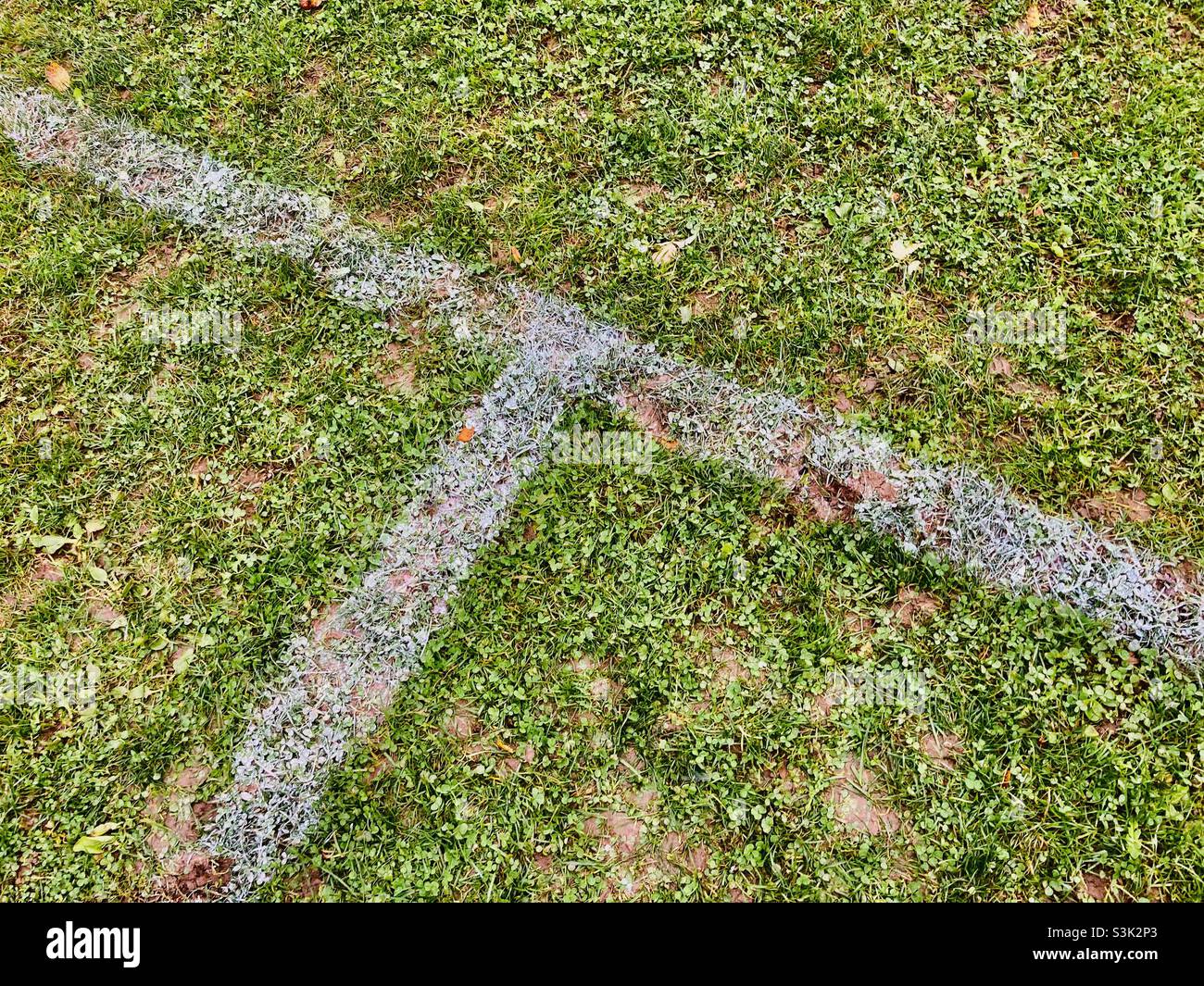 Le linee bianche del gesso sul tappeto erboso di un campo di calcio si incrociano Foto Stock