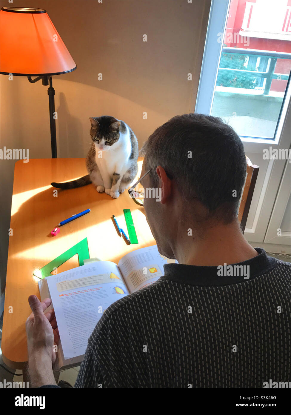 Insegnante che prepara una lezione con il suo gatto a casa. Foto Stock