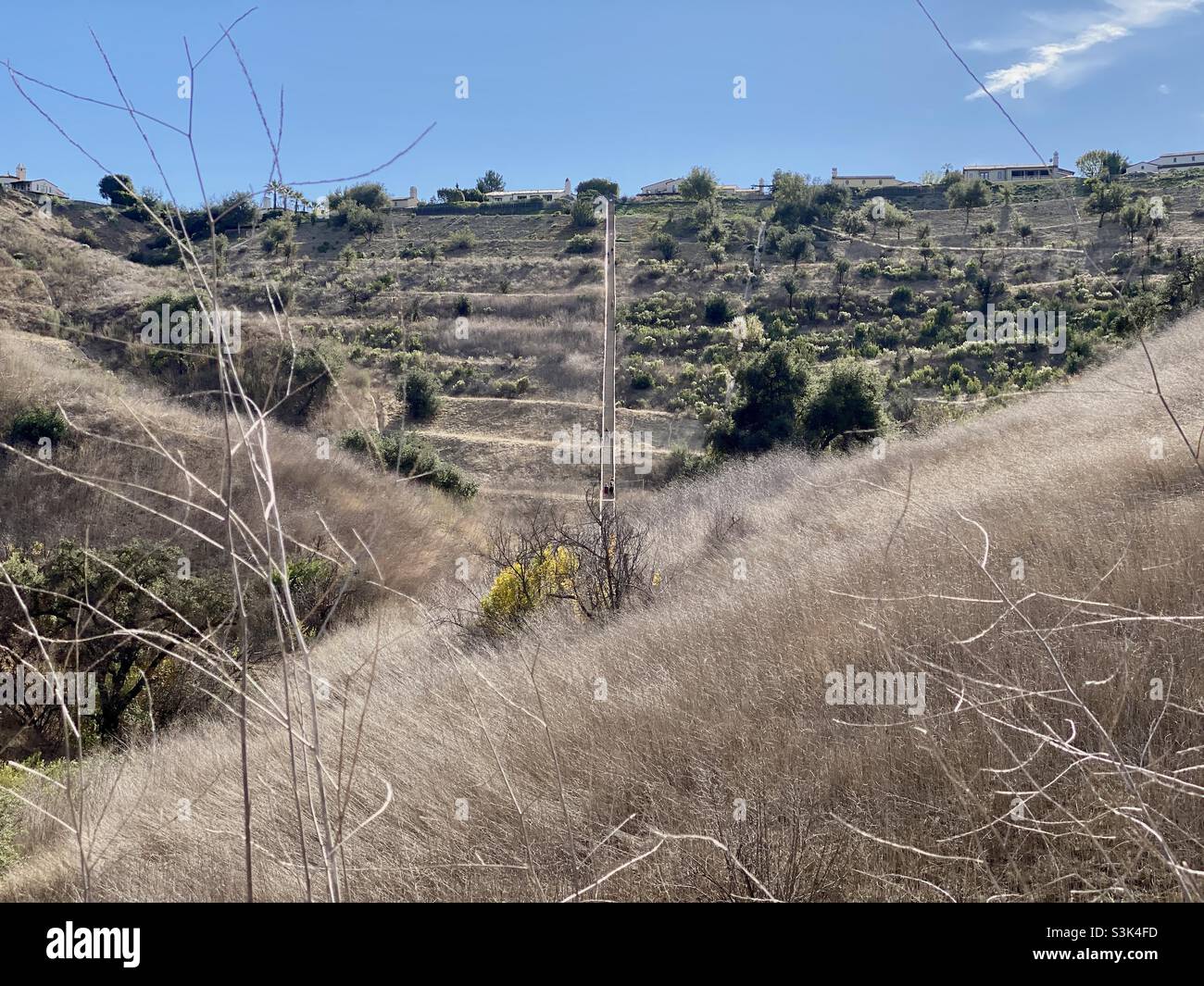 Scacro Calabasas nella California meridionale, vicino Los Angeles, visto dietro colline e erba in primo piano - Immagine stock catturata con smartphone