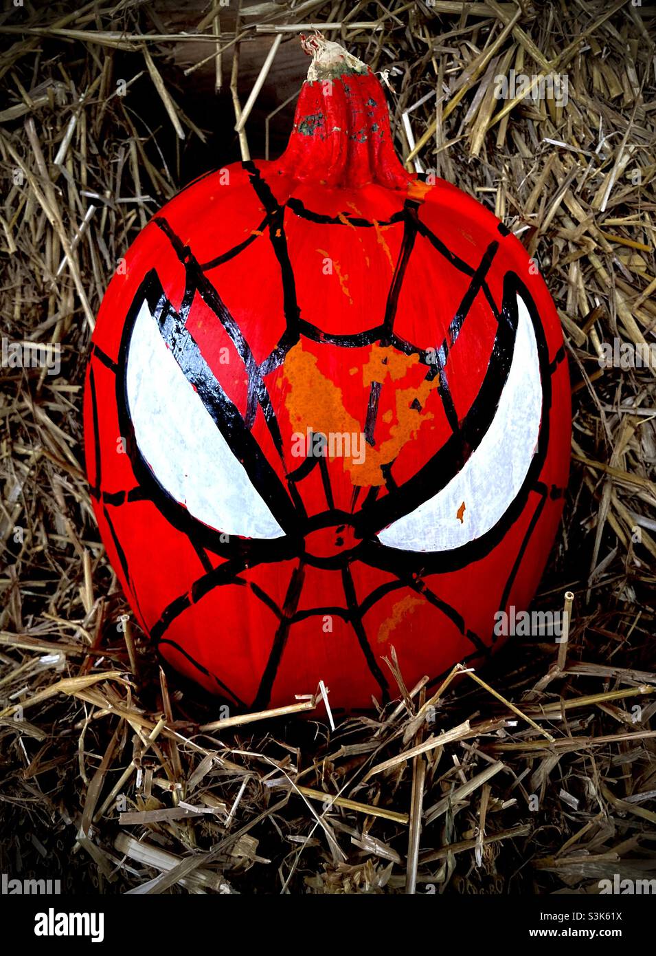 Zucca di Halloween uomo-ragno Foto Stock
