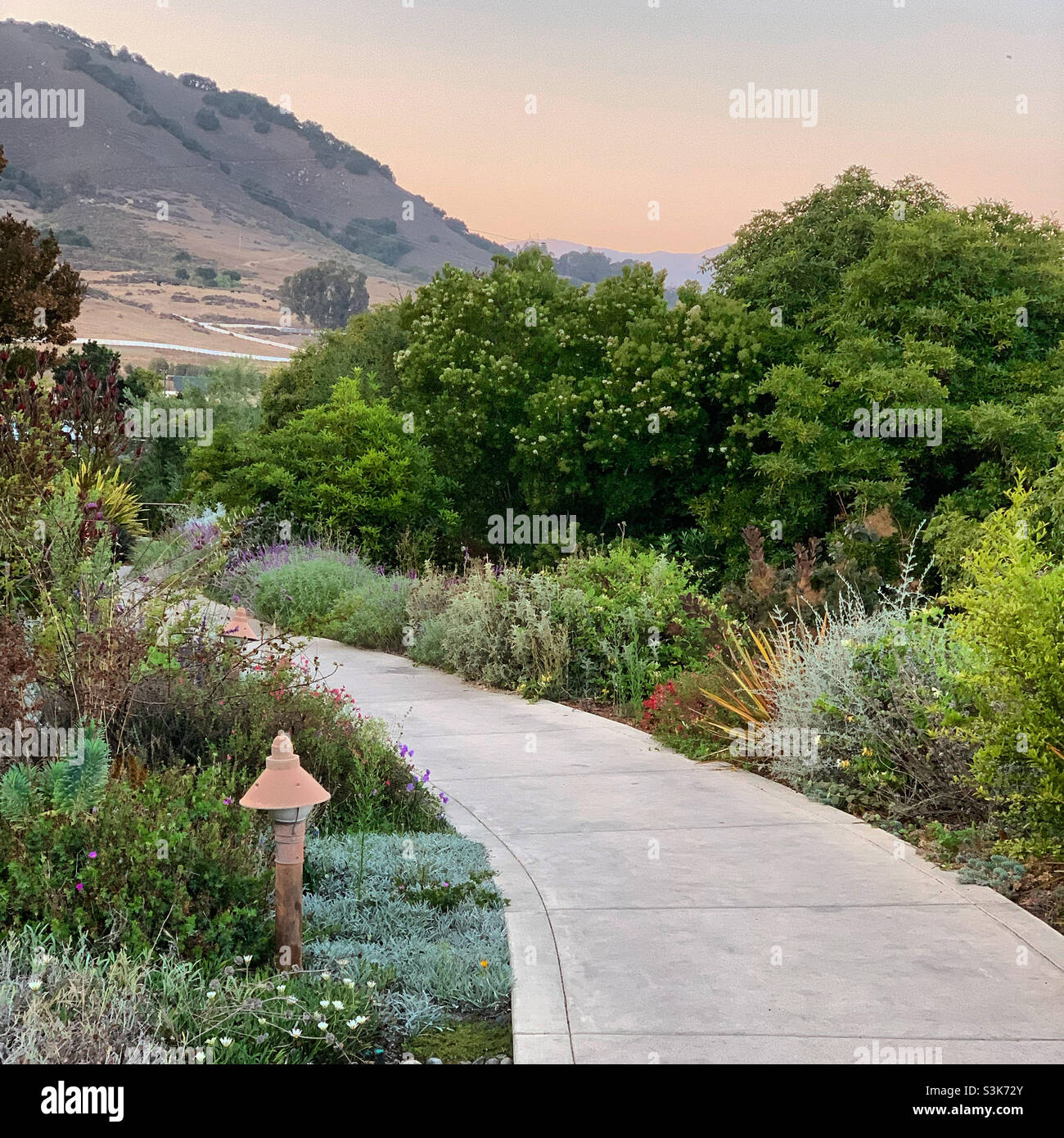 PATH to the pool, Madonna Inn, San Luis Obispo, San Luis Obispo County, California, Stati Uniti - Immagine stock catturata con smartphone