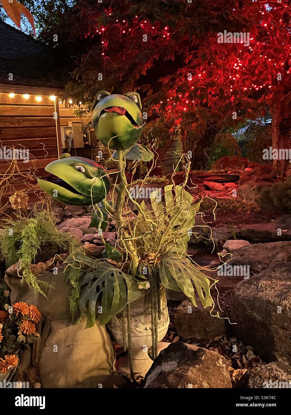 Il "WitchFest" di Gardner Village, a Salt Lake, Utah, offre ai visitatori una delizia ogni ottobre con tutte le creative decorazioni a tema Halloween e autunno. Foto Stock