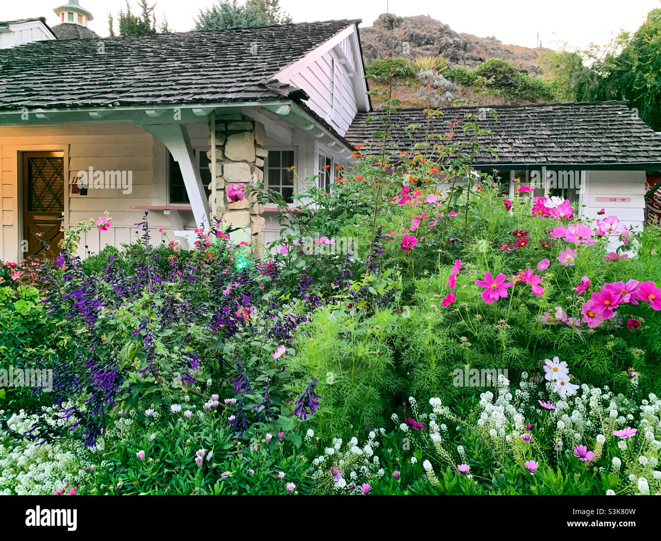 Settembre, 2021, fiori di fronte ad un edificio al Madonna Inn, San Luis Obispo, San Luis Obispo County, California, Stati Uniti - Immagine stock catturata con smartphone