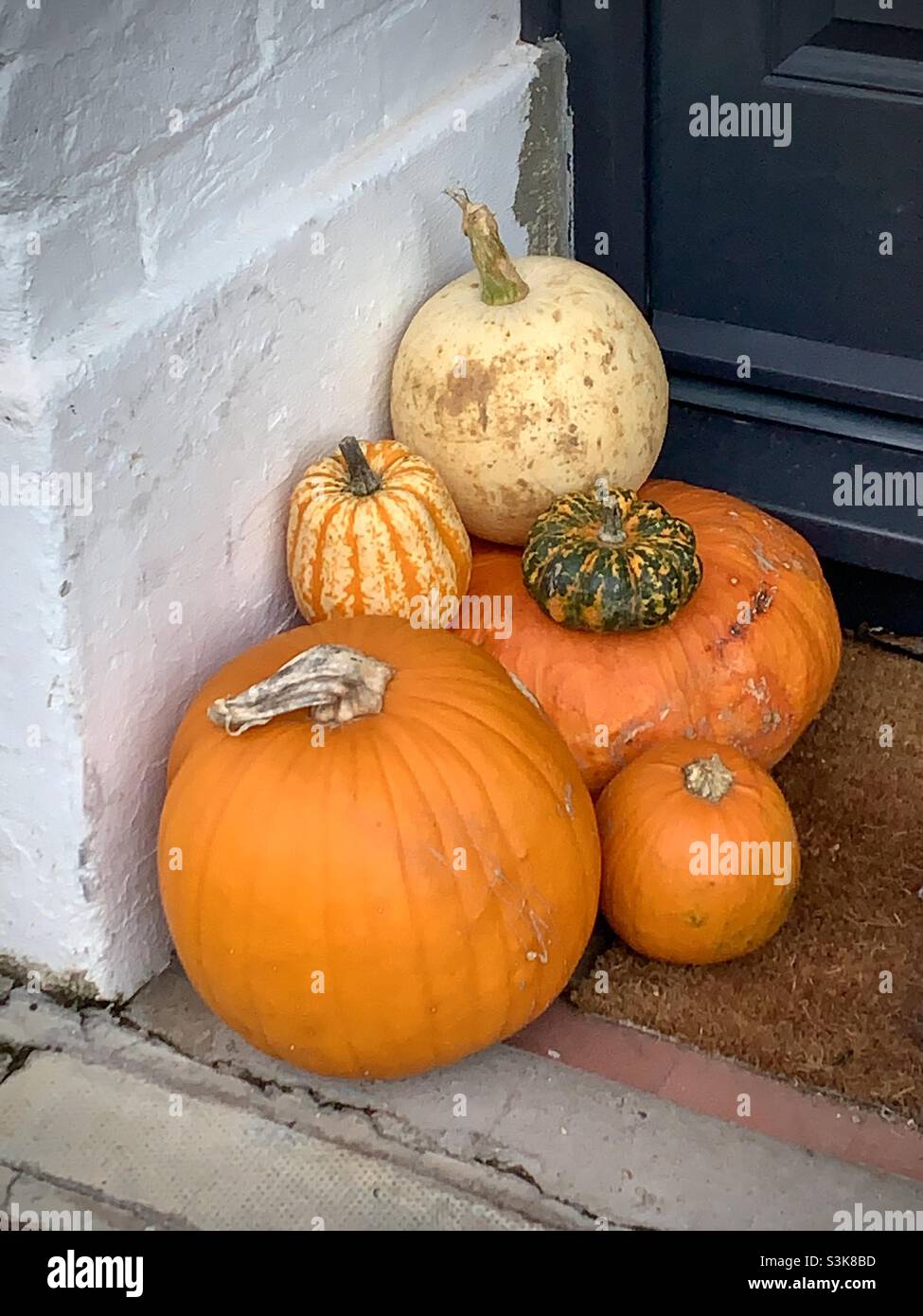 A pochi passi da Halloween, Eastney Southsea, si trova una serie di zucche e squash Foto Stock