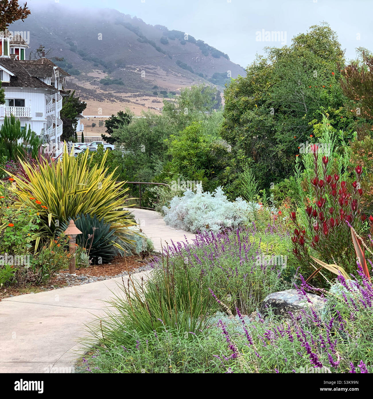 Settembre, 2021, PATH to the pool, Madonna Inn, San Luis Obispo, San Luis Obispo County, California, Stati Uniti - Immagine stock catturata con smartphone