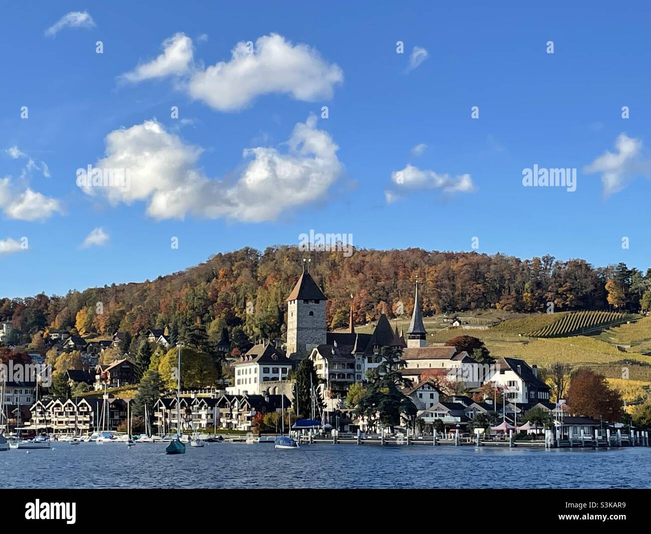 Castello e vigneti di Spiez in colori autunnali, lago Thun, Svizzera Foto Stock