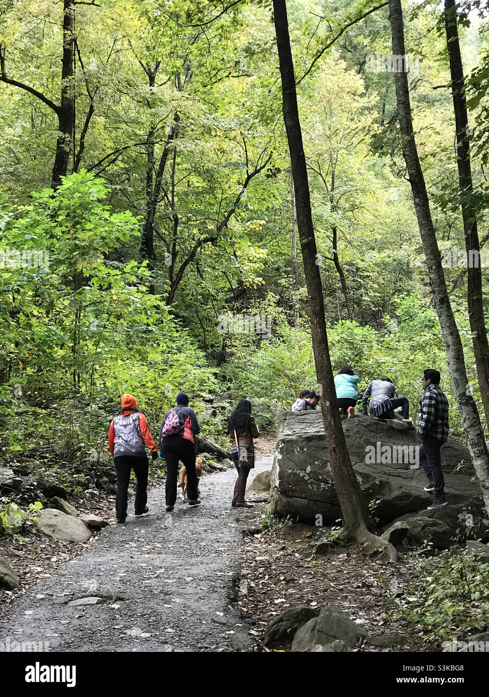 Persone che camminano su un sentiero presso l'Amicalola Falls state Park nella Georgia del Nord. Foto Stock