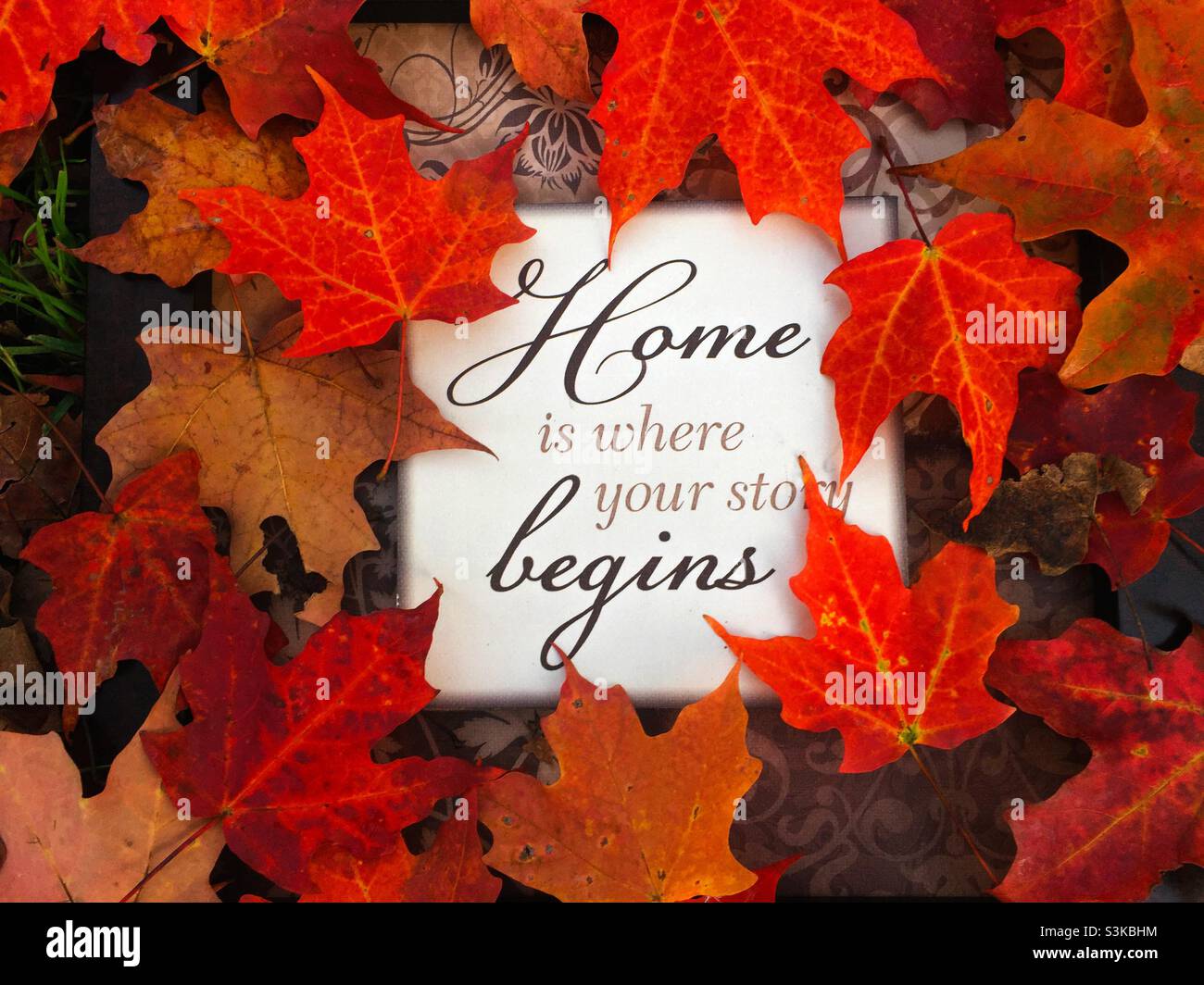 Casa, tra le foglie di caduta, dove inizia la storia Foto Stock