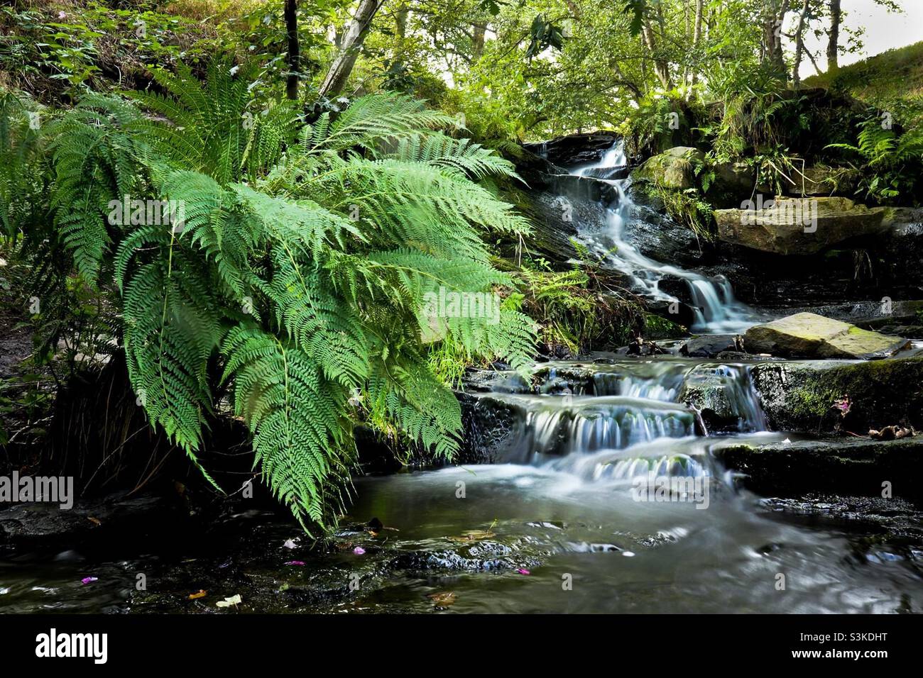 Cascate di Folly Dolly nello Yorkshire Foto Stock