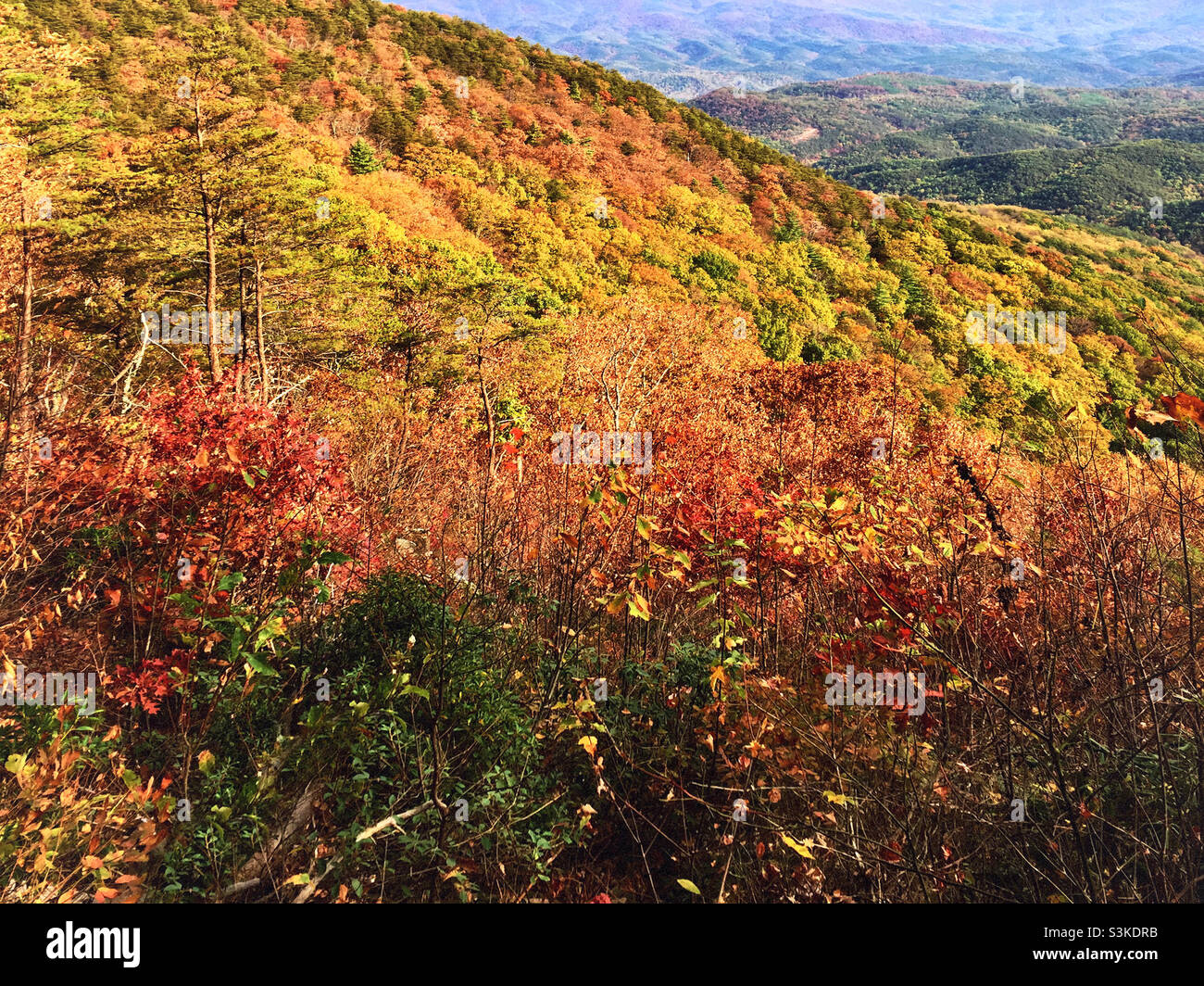 Paesaggio autunnale delle Blue Ridge Mountains nella catena montuosa Appalachiana vista da Fort Mountain nella Georgia del Nord. Foto Stock