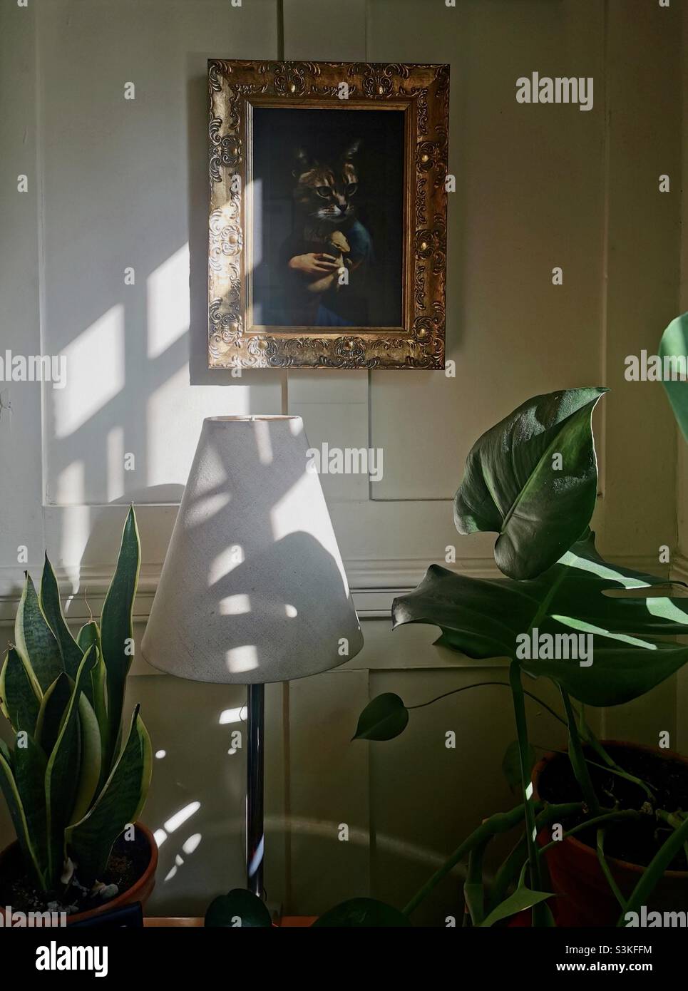 dettaglio interno con riflessi d'ombra e cornice dorata, paralume e piante Foto Stock