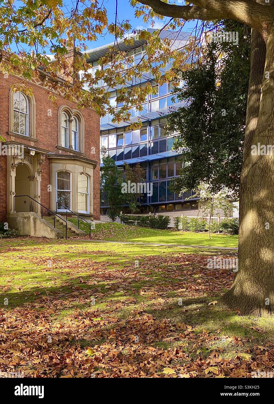 Una terrazza vittoriana adiacente al Marjorie & Arnold Ziff Building nel campus dell'Università di Leeds, Regno Unito. Molte proprietà originali si trovano ancora lì e sono incorporate all'interno dell'università. Foto Stock