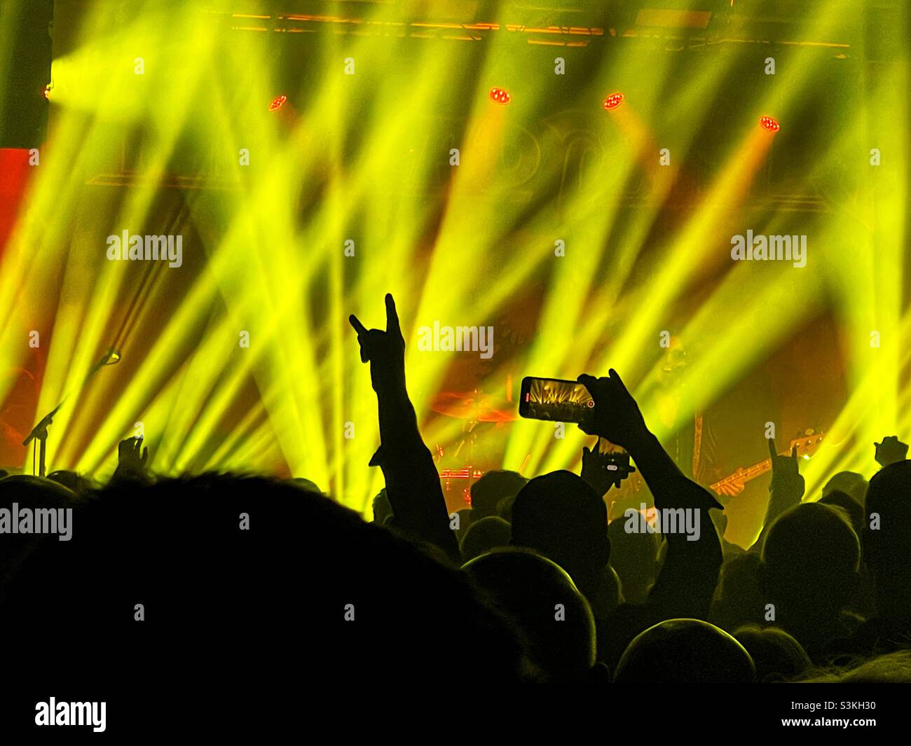 Silhouette di folla in un concerto rock Foto Stock