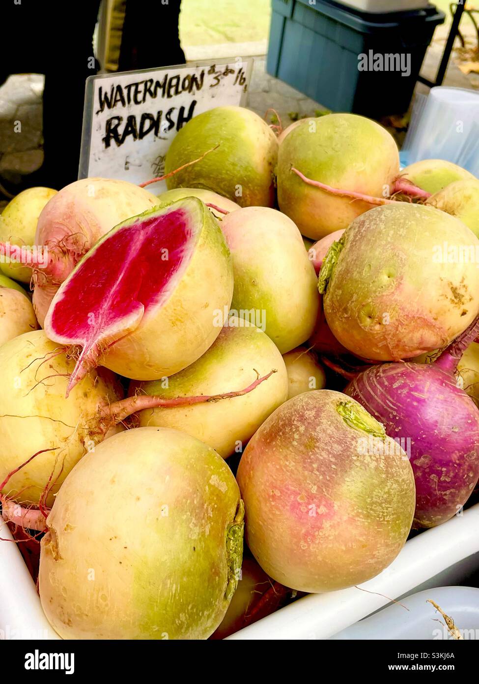 Il gigantesco anguria gialla irradia al mercato agricolo di New York Foto Stock